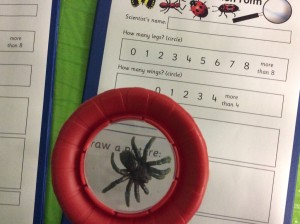 Students are encouraged the 'be scientists' and draw pictures of the (very fake!) spiders in our classroom. 